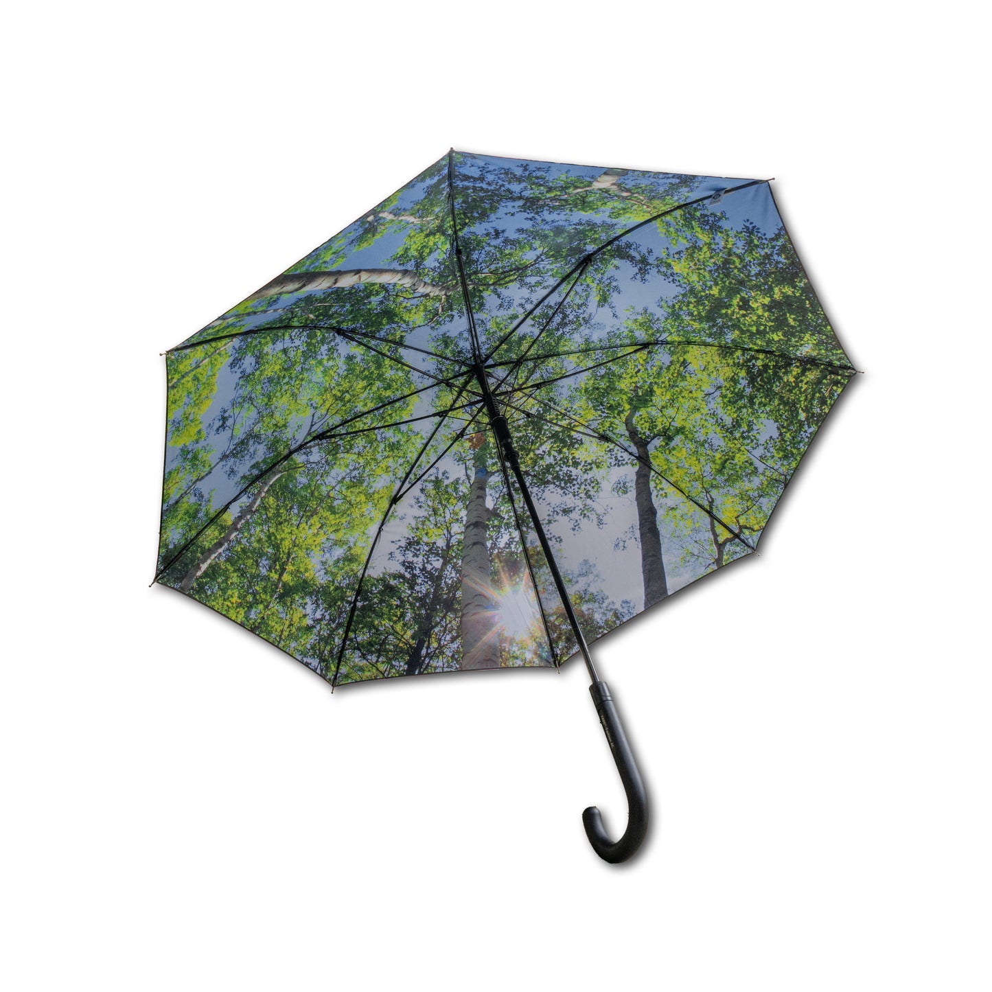 umbrella